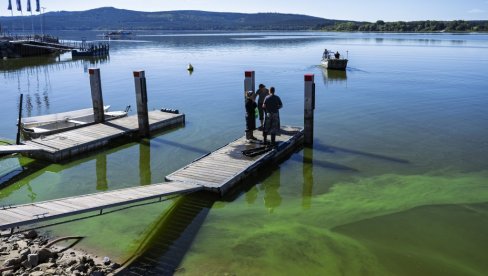 НЕОБИЧАН ПРИРОДАН ФЕНОМЕН: Језеро у Чешкој прекрио зелени лед