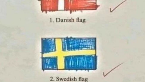 DECA UČILA ZASTAVE: Odgovor dečaka oduševio milione širom sveta (FOTO)