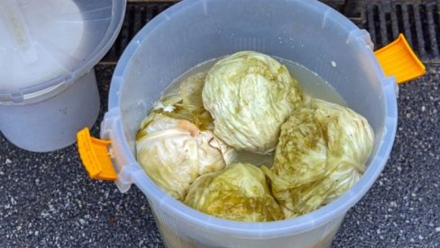 ДА ЛИ КИСЕЛИ КУПУС МОЖЕ ДА СТОЈИ НА ТЕРАСИ КАДА ЈЕ НАПОЉУ МИНУС: Стручњаци упозоравају на грешку коју многи праве