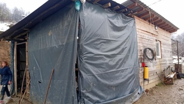 ДЕВЕТОЧЛАНА ПОРОДИЦА МИЛОРАДА И МАРИЈЕ БОЈИЋ ИЗ ЈАДРАНСКЕ ЛЕШНИЦЕ ЖИВИ У САМО ЈЕДНОЈ ПРОСТОРИЈИ ОД ДАСАКА Кућа тесна, а срце - широко