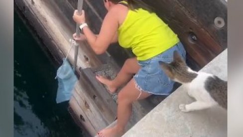 PRESLATKO: Turistkinja spasila mače (VIDEO)