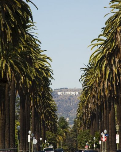 ДАНЦИ ЖЕЛЕ ДА „КУПЕ“ КАЛИФОРНИЈУ: Сатирична петиција сакупила више од 280.000 потписа - „Учинимо Калифорнију поново великом“