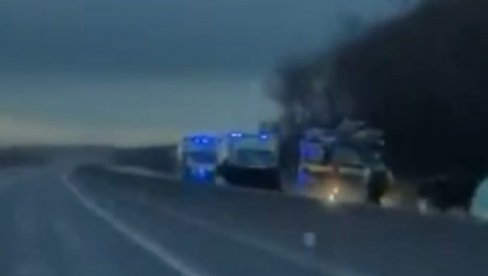 KRAVA PRESKOČILA OGRADU I IZLETELA PRED AUTOMOBIL: Strava i užas na auto-putu - kamera zabeležila horor! (VIDEO)