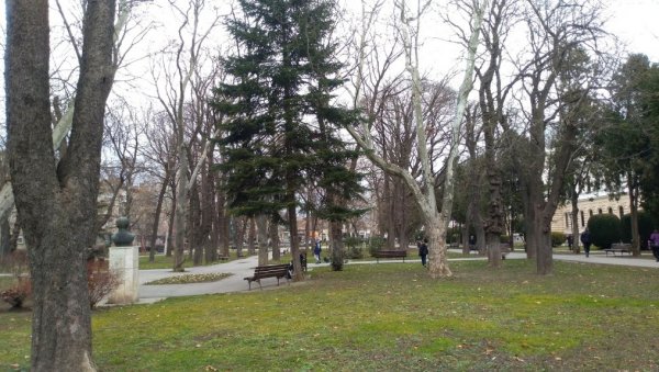 ПОЖАРЕВЉАНИ ИЗАБРАЛИ ИЗВОЂАЧЕ ЗА ОБНОВУ ЗЕЛЕНЕ ОАЗЕ У ЦЕНТРУ ГРАДА   Оживљавају парк и дух Француске