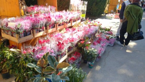 OSMOMARTOVSKI BAZAR: Ulična prodaja u Velikom Gradištu od 7. do 9. marta