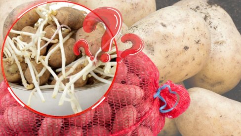 СПРЕЧАВА КЛИЈАЊЕ: Ово је НАЈБОЉИ начин за чување кромпира