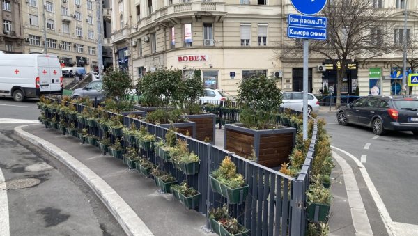 ДЕКОРАЦИЈИ НИЈЕ МЕСТО НАСРЕД ПУТА:  Жардињере код Зеленог венца смањују прегледност у саобраћају