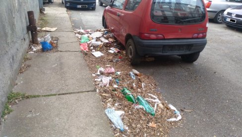 ПОСЛЕДИЦЕ КОШАВЕ У ПОЖАРЕВЦУ: Јак ветар по улицама разноси смеће из контејнера