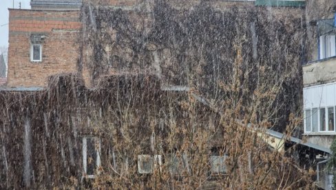 SNEG POČEO DA PADA U BEOGRADU: Prestonica se zabelela, a tek stiže strmoglavi pad temperature (FOTO/VIDEO)