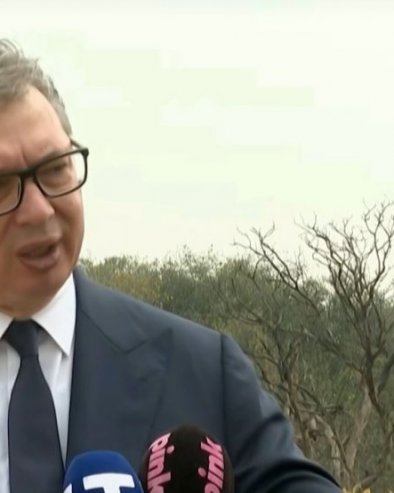 ТО ЈЕ СВЕ ЛОГИЧНО ПОНАШАЊЕ Вучић: Европа се окреће Индији да би смањила јаз у односу на САД и Кину