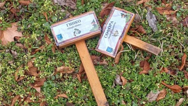 УНИШТИЛИ ТАБЛИЦЕ МЛАДИХ ГОРАНА: Мобилијар у Градском парку у Вршцу поново био на мети вандала