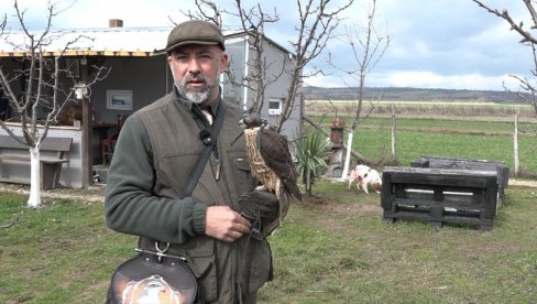 SOKO ČUVAR I VINOGRADA: Miloš Jovanović iz Pukovca kod Niša već 15 godina uspešno uzgaja ptice grabljivice