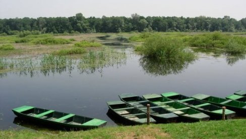 DRONOVI UNIŠTAVAJU KOROV: Srbija i Hrvatska pokrenule zajednički projekat vredan gotovo pola miliona evera