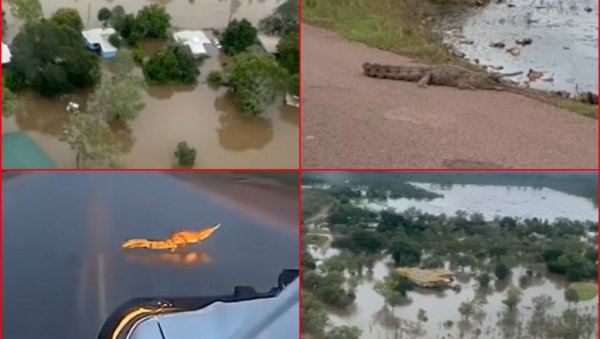 КРОКОДИЛИ СУ БУКВАЛНО СВУДА... Незапамћене поплаве изазвале панику и хаос, евакуација грађана у току (ВИДЕО)