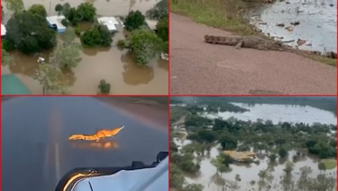 КРОКОДИЛИ СУ БУКВАЛНО СВУДА... Незапамћене поплаве изазвале панику и хаос, евакуација грађана у току (ВИДЕО)