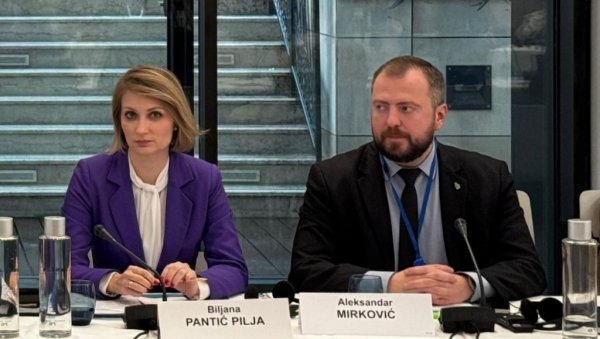 БИЉАНА ПАНТИЋ ПИЉА У САВЕТУ ЕВРОПЕ: Отворили сте Пандорину кутију признањем тзв. Косова