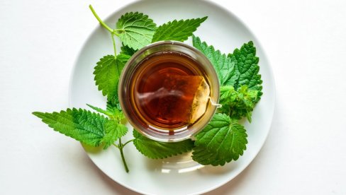 VREME JE ZA DETOKSIKACIJU: Iskoristite mladu koprivu - Čisti krv, podstiče rad jetre i bubrega