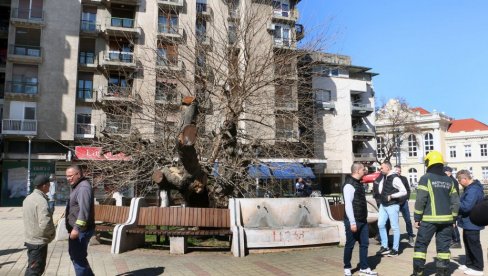 ОДБАЧЕНИ ОПУШАК ЗАМАЛО УНИШТИО КАРАЂОРЂЕВ ДУД: Огласили се тужилац и градоначелница Смедерева