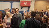 ПОЛИТИЧКИ ПРОГОН ПОД МАСКОМ РЕФОРМИ: Шта је позадина тихе смене кадрова Демократске народне партије