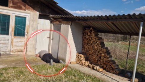 ŠOK KOD VRANJA Seljane prizor paralisao od straha: Bio je tu 5 godina (VIDEO)