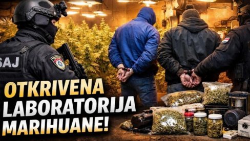 ФИЛМСКА АКЦИЈА У СУБОТИЦИ: Упад САЈ-а у лабораторију марихуане (ВИДЕО)
