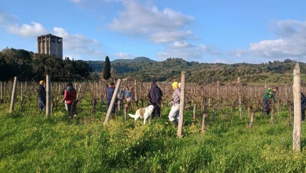 ЈЕДИНА ШКОЛА У СРБИЈИ ЧИЈИ УЧЕНИЦИ СВАКЕ ГОДИНЕ ХОДОЧАСТЕ НА СВЕТУ ГОРУ: Послушање ђачко у вртовима Хиландара