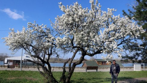 NA OVAJ DAN: Dužina obdanice i noći biće ista bilo gde na Zemlji