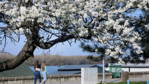 NAJNOVIJA PROGNOZA RHMZ: Kakvo nas vreme očekuje u trećoj dekadi marta