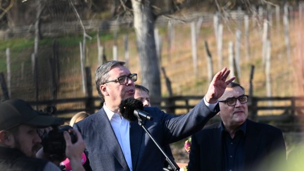 НЕМА АСФАЛТА ЗА ЏАБЕ: Вучић открио колико кошта три километра малог пута