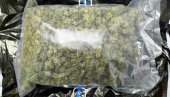UHAPŠEN DILER U NOVOM BEOGRADU: Krio marihuanu u reno kliu