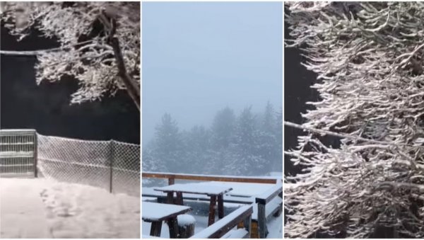 НЕВЕРОВАТНИ ПРИЗОРИ: Снег забелео у сред марта широм Србије - Све је почело да цвета, кад оно... (ВИДЕО)