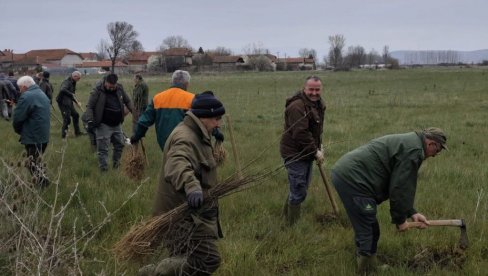 HILJADE SADNICA BAGREMA: U Leskovcu obeležen Međunarodni dan šuma