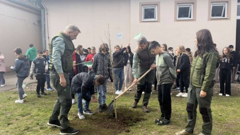 ZASAĐENO ZNANJE I DRVEĆE: Oplemenjeno dvorište OŠ „Petar Nikolić“ u selu Samaila kod Kraljeva