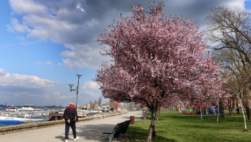 КОНАЧНО 20 СТЕПЕНИ: Овог датума враћају нам се пролеће и сунчано време