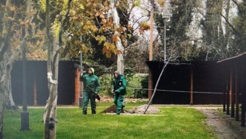 DEZINFEKCIJA I DEZINSEKCIJA KABINA NA ŠTRANDU : Radovi na kupalištu u Novom Sadu