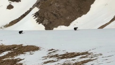 (VIDEO) Planinari u Bosni snimili prizor kakav se RETKO VIĐA - snimak obišao planetu