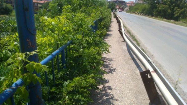 УКЛАЊАЊЕ АМБРОЗИЈЕ: Процењена вредност радова 13,6 милиона динара