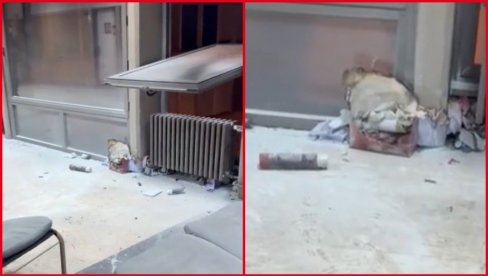 PET DANA NAKON POGIBIJE STUDENTKINJE MILICE PEVALA NA MESTU NJENE SMRTI: Kome smeta da se otkrije šta se događalo na Filozofskom fakultetu?