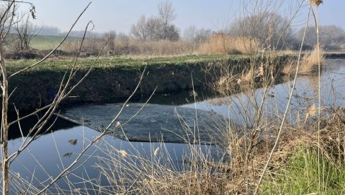 КО КРИЈЕ УЗРОКЕ ПОМОРА? Два месеца после угинућа птица и риба у Kрњачи, разлог непознат