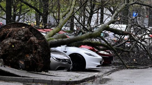 ZAGREB SABIRA ŠTETU OD NEVREMENA: Procenjuje se da je srušeno do 3.000 stabala