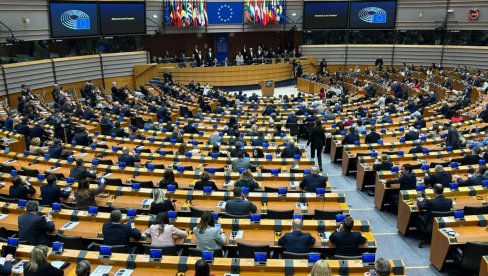 SAVET EVROPE O IZBORIMA U SRBIJI: Na biračkim mestima sve regularno, međunarodna zajednica konačno primetila nasilje blokadera