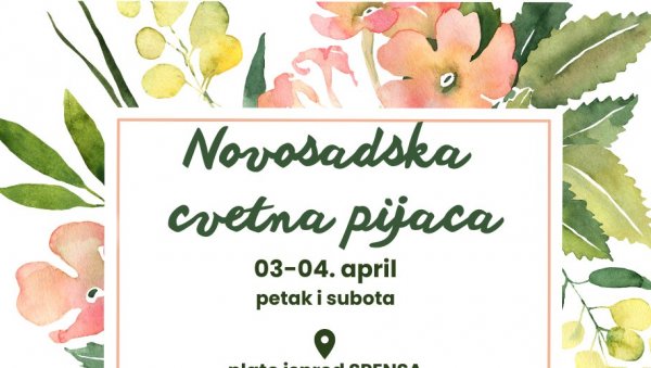 ЦВЕТНА ПИЈАЦА У НОВОМ САДУ : Од украсног биља до пчелињих производа