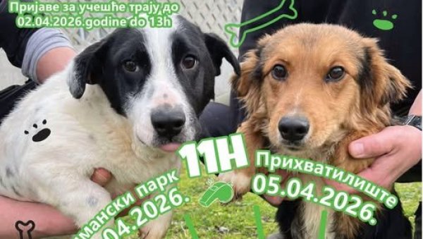 ИЗЛОЖБА ПАСА МЕШАНАЦА: Поводом  светског дана напуштених животиња, у суботу и недељу у Новом Саду