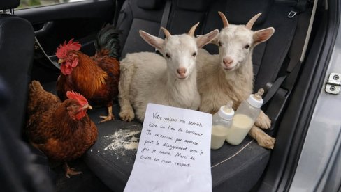 ОВО НИЈЕ ПРВОАПРИЛСКА ШАЛА! Отворио врата аута и затекао призор који га је оставио у шоку