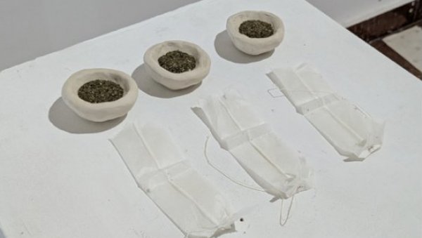 НАГРАДА СТЕВАН ТОДОРОВИЋ- КАТАРИНИ ДРЕЊАНИН: Похвале на изложби Радови у процесу, Галерији 73 припале Катарини Ивановић и Вуку Мандушићу