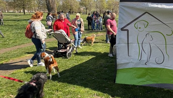 У НОВОМ САДУ ОДРЖАНА  10. „ИЗЛОЖБА ПАСА МЕШАНАЦА : Одговорно власништво спречава појаву напуштених животиња