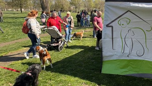 U NOVOM SADU ODRŽANA  10. „IZLOŽBA PASA MEŠANACA : Odgovorno vlasništvo sprečava pojavu napuštenih životinja