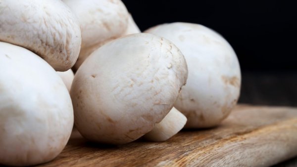 ЗАРАДА ДО 11.000 ЕВРА: Овим бизнисом у Србији можете да се бавите током целе године