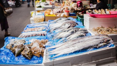 OVO JE NAJZDRAVIJA RIBA NA SVETU: Ima brojne benefite