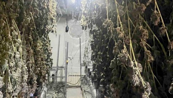 КАНАБИС ГАЈИО У ИЗНАЈМЉЕНОМ СТАНУ: У Вишем тужилаштву саслушан Никола А.